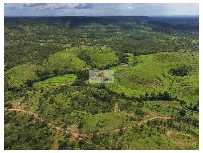 Fazenda à venda, 10m² - Foto 4