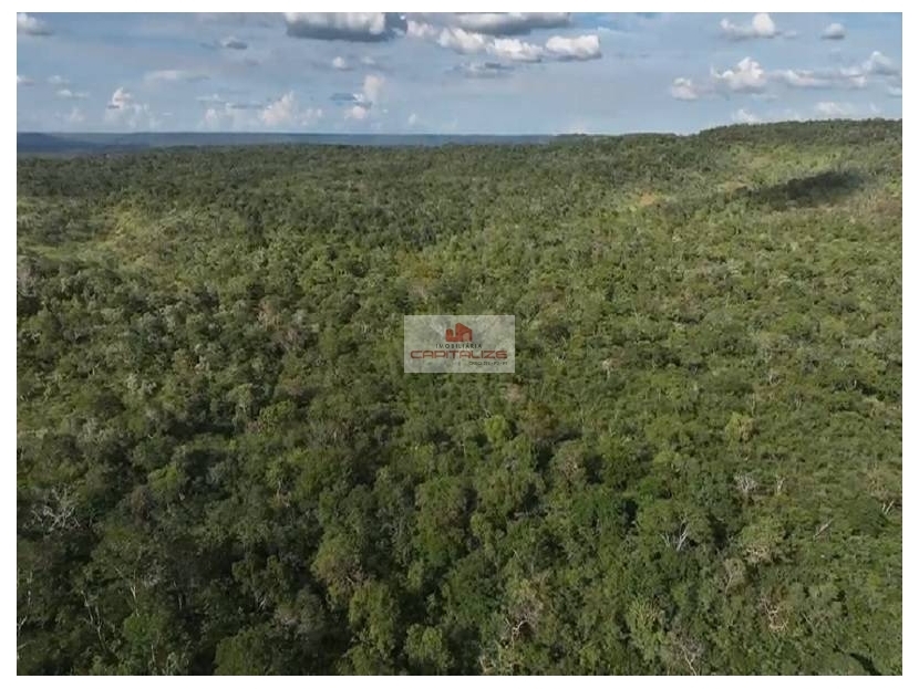 Fazenda à venda, 10m² - Foto 7