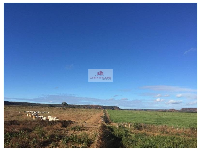 Fazenda à venda, 8900m² - Foto 11