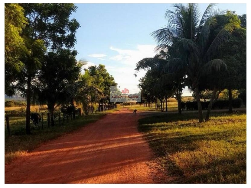 Fazenda à venda, 8900m² - Foto 4