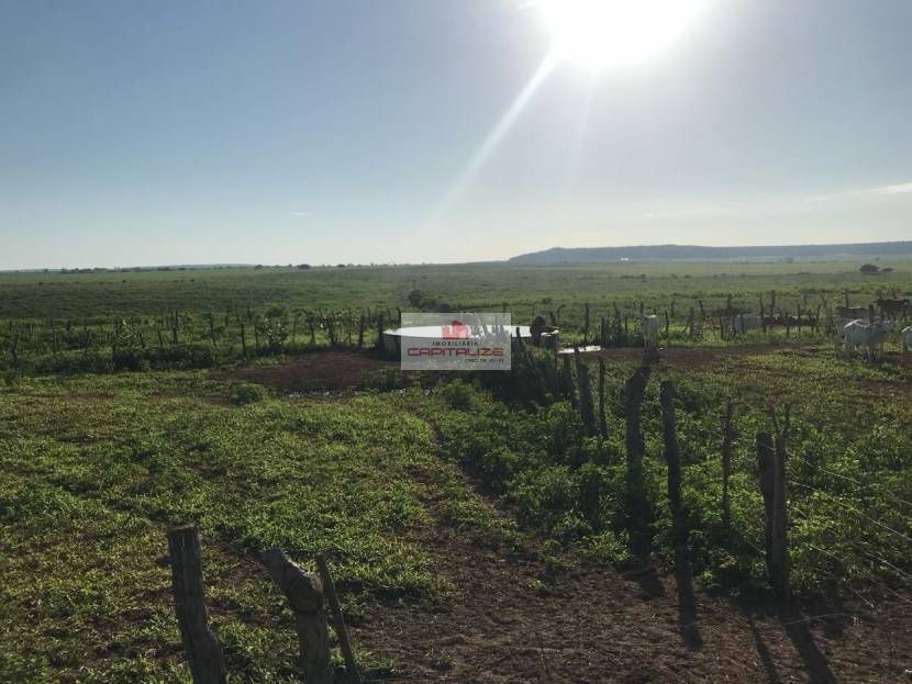 Fazenda à venda, 8900m² - Foto 12
