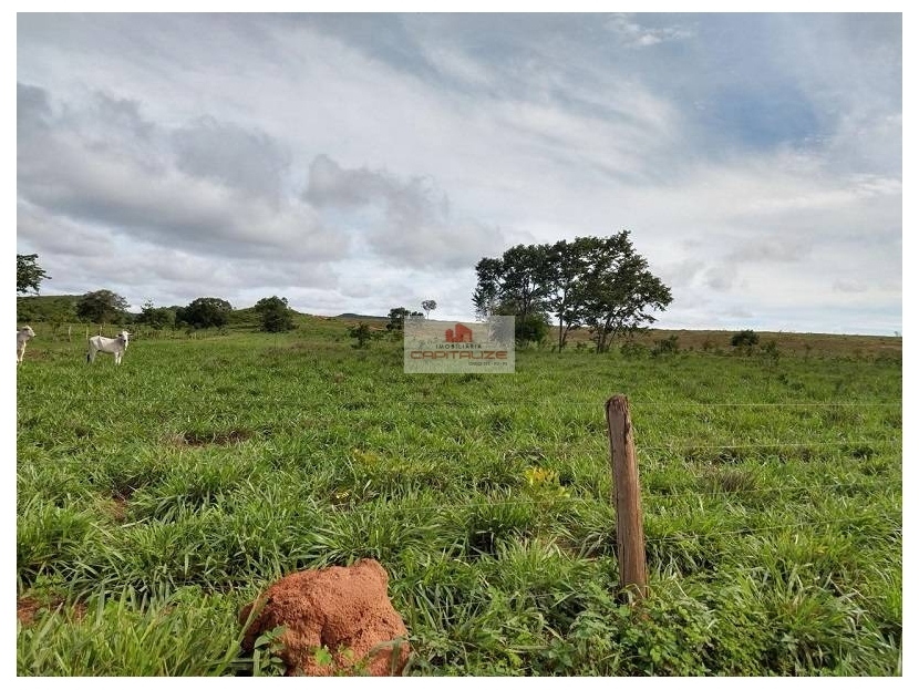 Fazenda à venda, 8900m² - Foto 7