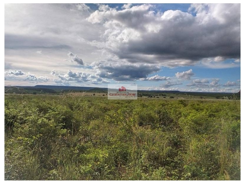 Fazenda à venda, 8900m² - Foto 5