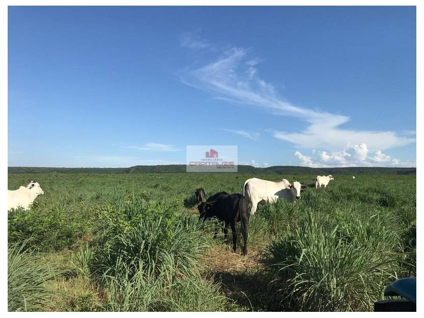 Fazenda à venda, 8900m² - Foto 6