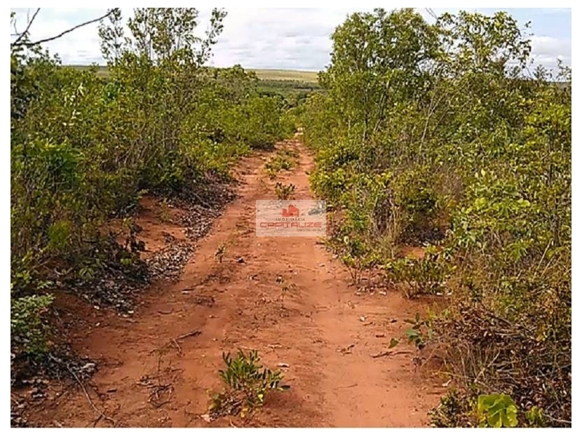 Fazenda-Sítio-Chácara, 3678 m² - Foto 2