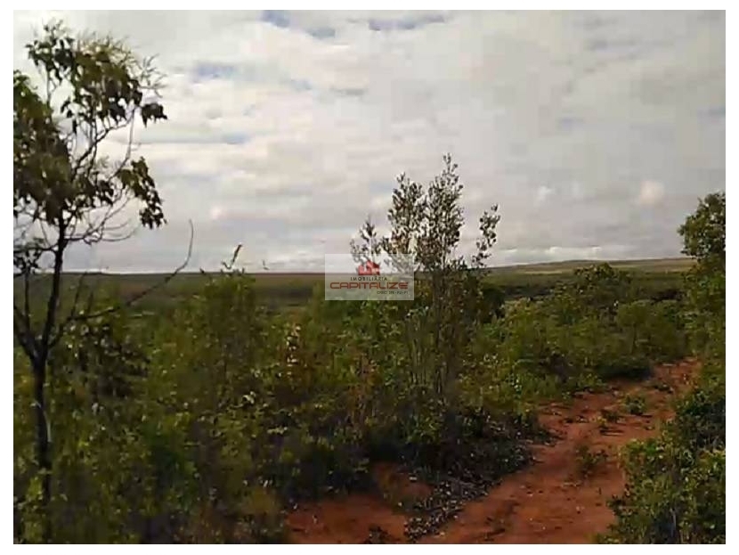 Fazenda-Sítio-Chácara, 3678 m² - Foto 3