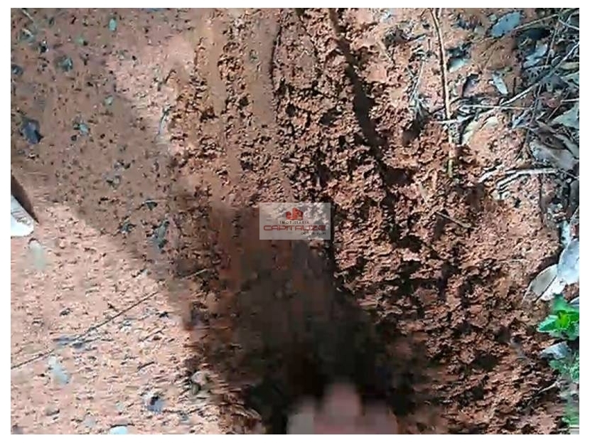 Fazenda-Sítio-Chácara, 3678 m² - Foto 5