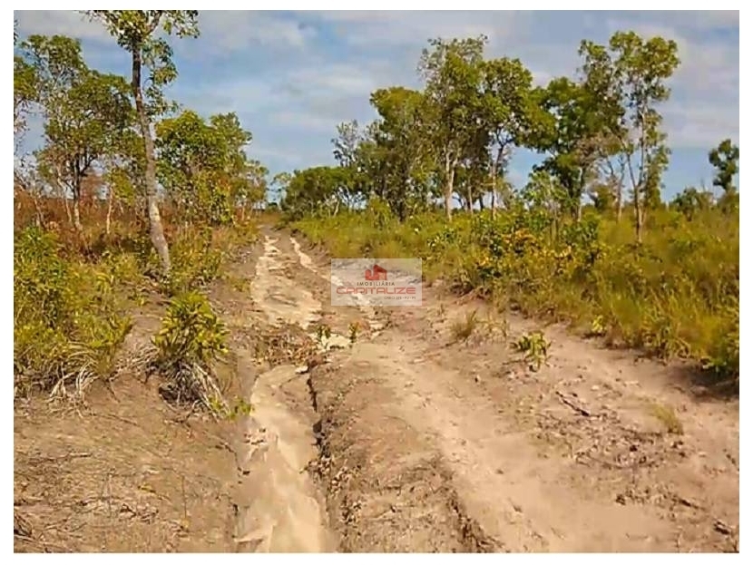 Fazenda-Sítio-Chácara, 3678 m² - Foto 4