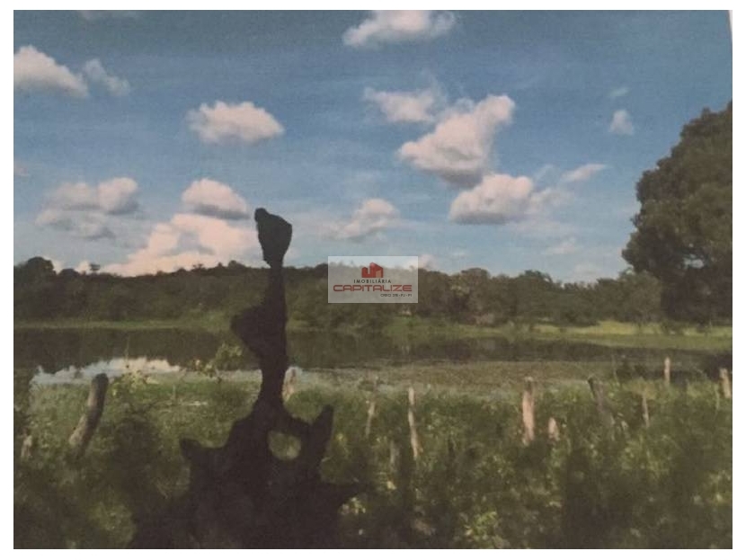 Fazenda-Sítio-Chácara, 970 m² - Foto 3