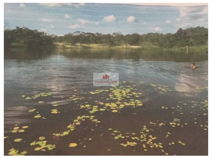 Fazenda-Sítio-Chácara, 970 m² - Foto 4