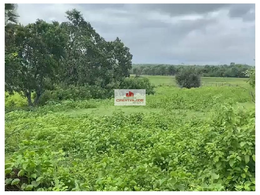 Fazenda à venda, 1041m² - Foto 4