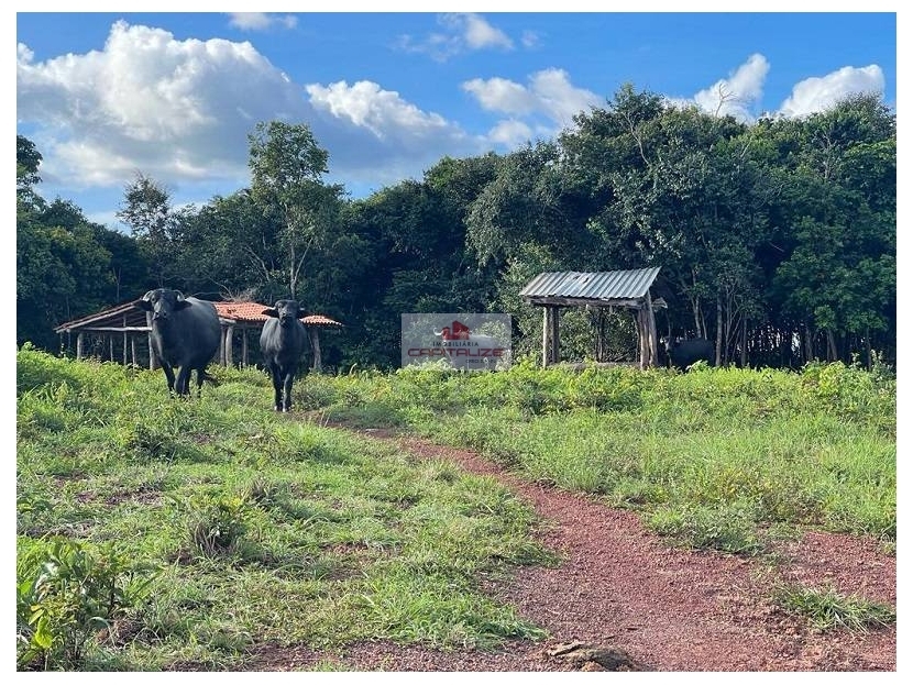 Fazenda à venda, 1228m² - Foto 3