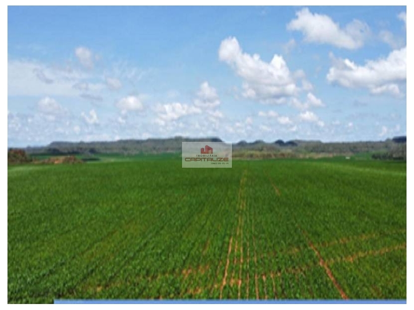 Fazenda, 3 hectares - Foto 1