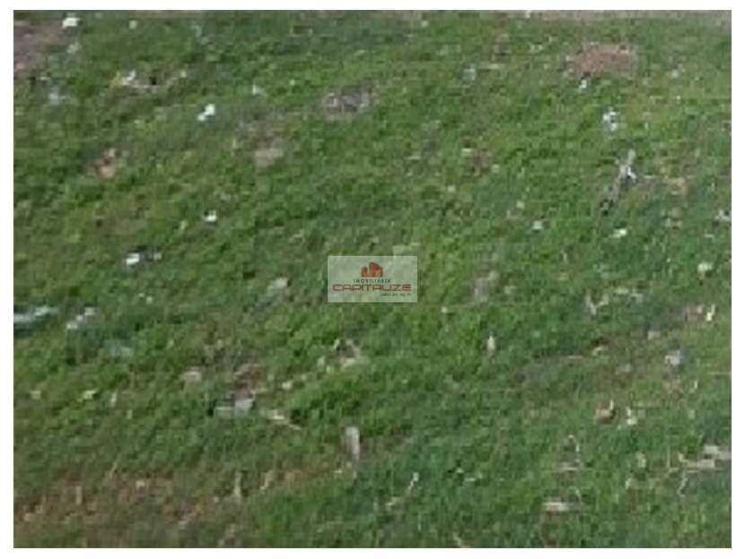 Depósito-Galpão-Armazém à venda, 35m² - Foto 1