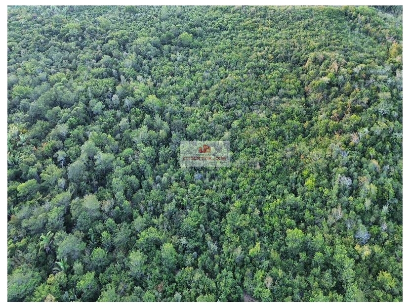 Fazenda à venda, 970m² - Foto 9
