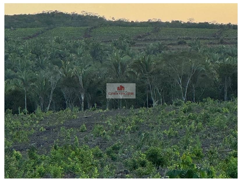 Fazenda à venda, 970m² - Foto 3