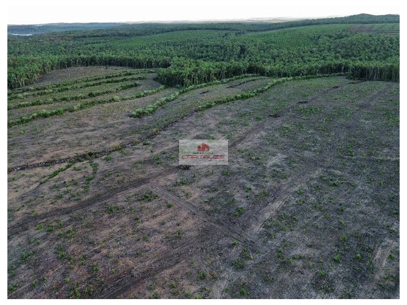 Fazenda à venda, 970m² - Foto 4