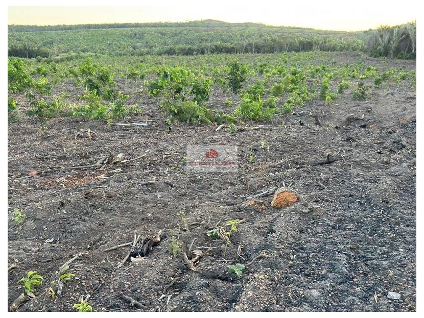 Fazenda à venda, 970m² - Foto 10