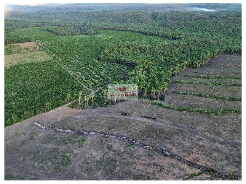Fazenda à venda, 970m² - Foto 6