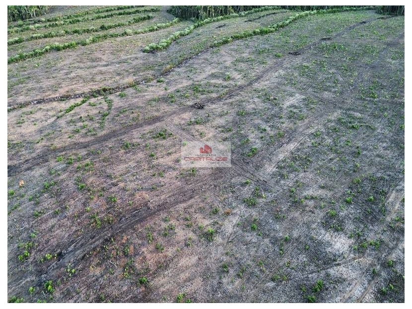 Fazenda à venda, 970m² - Foto 5