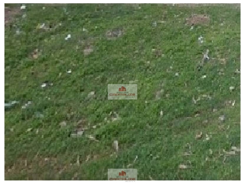 Fazenda-Sítio-Chácara, 1000 m² - Foto 2