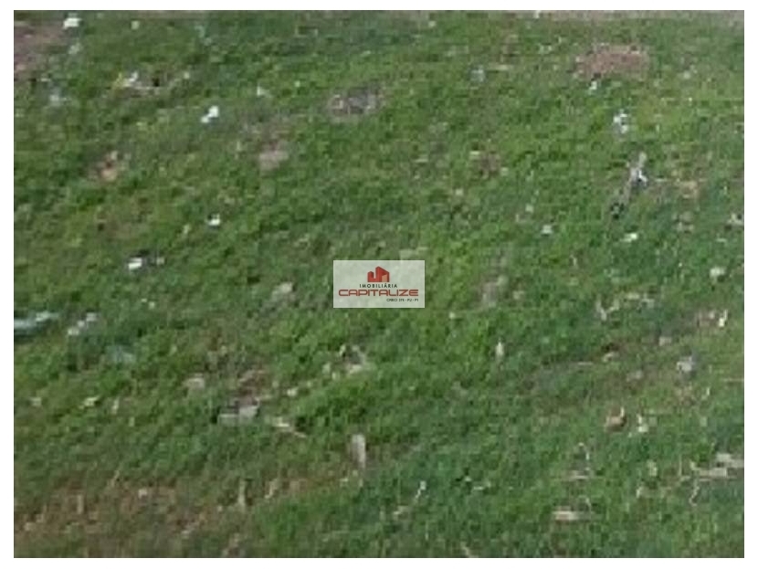 Depósito-Galpão, 1330 m² - Foto 2