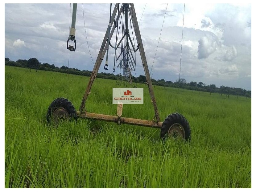 Fazenda, 3 hectares - Foto 4