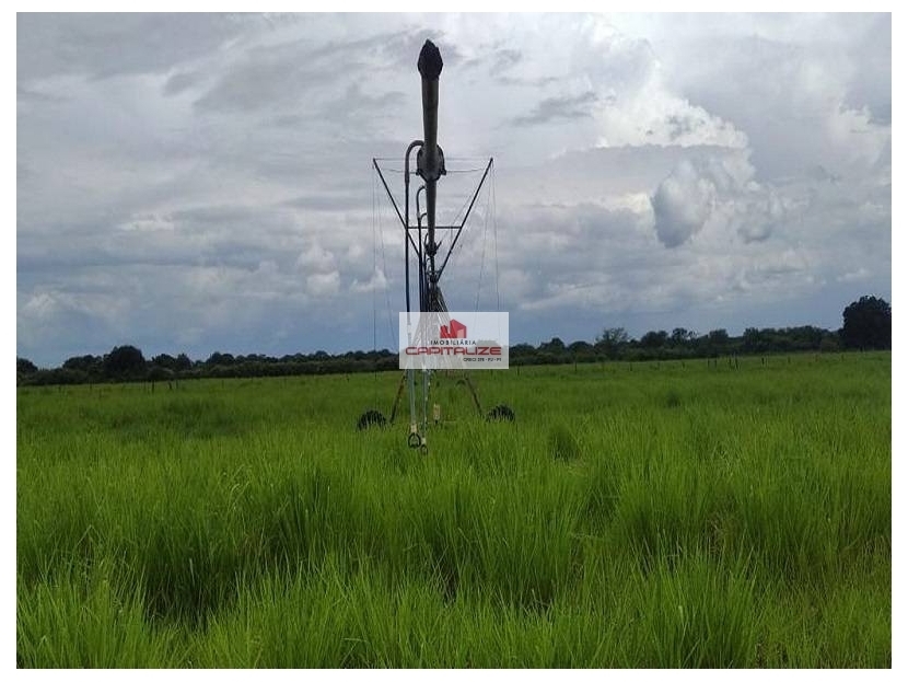 Fazenda, 3 hectares - Foto 3