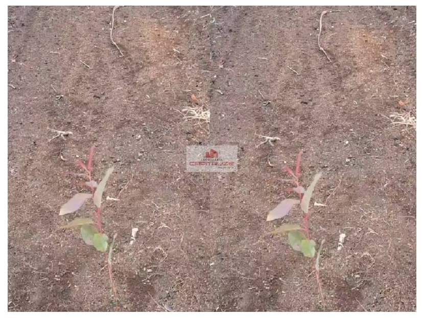 Fazenda, 2000 m² - Foto 1