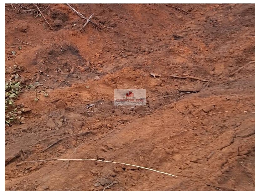 Fazenda, 2000 m² - Foto 5