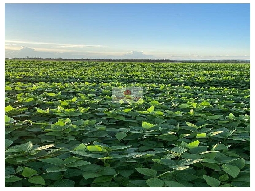 Fazenda, 4700 m² - Foto 1