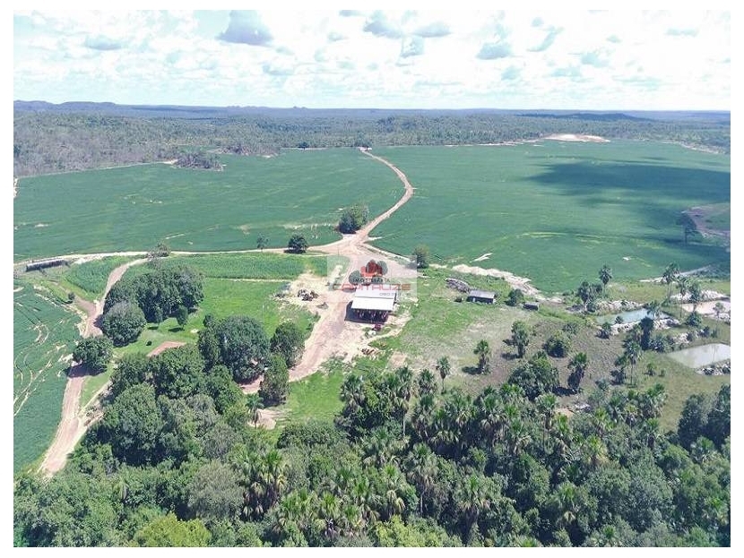 Fazenda, 4700 m² - Foto 5