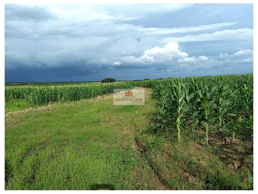 Fazenda, 3 hectares - Foto 1