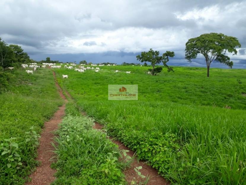 Fazenda, 3 hectares - Foto 3