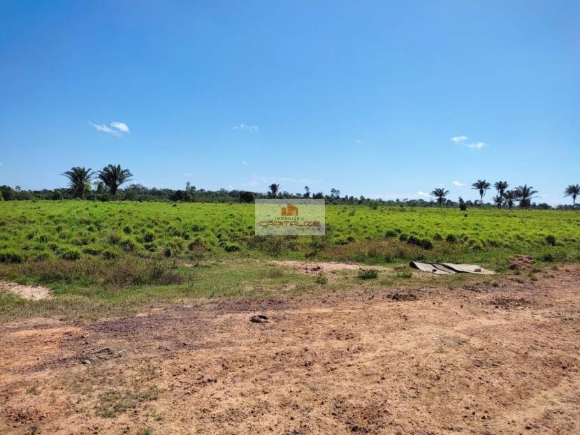 Fazenda, 3 hectares - Foto 4