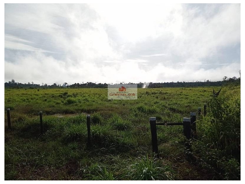 Fazenda, 3 hectares - Foto 5