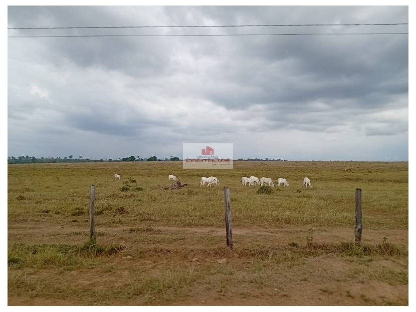 Fazenda, 9680 m² - Foto 4