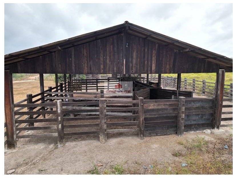 Fazenda, 3566 m² - Foto 5