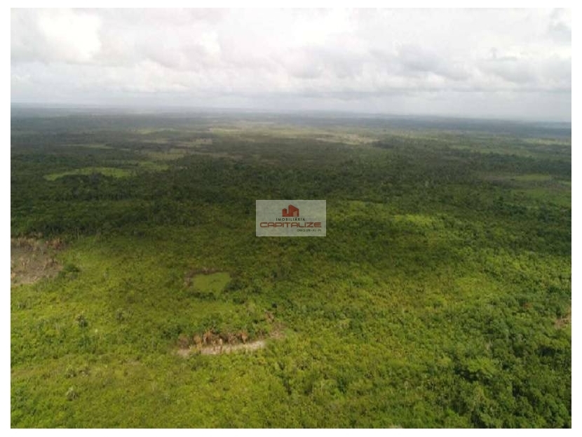 Fazenda, 5000 m² - Foto 5