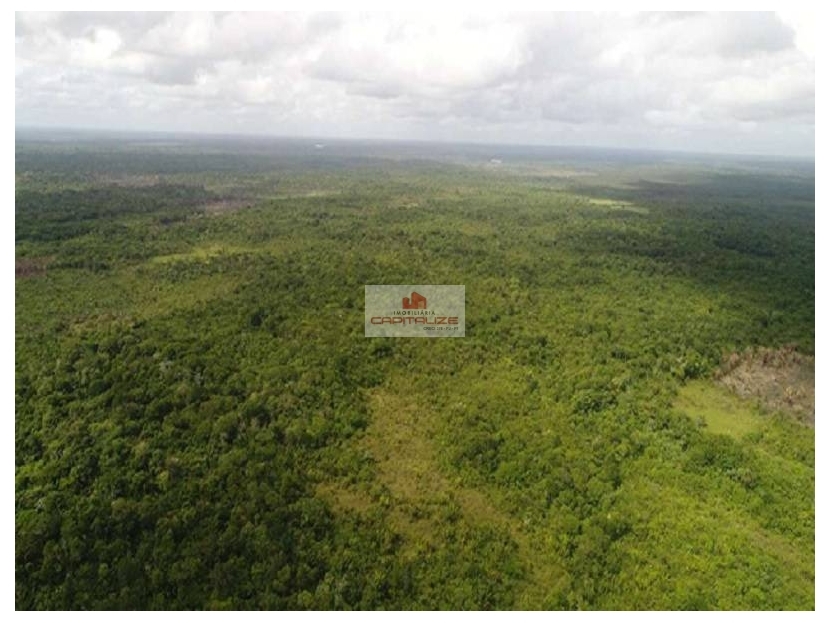 Fazenda, 5000 m² - Foto 3