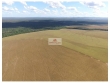 Fazenda na região de Guaraí - TO, com 17300 hectar
