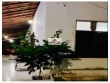 Casa com 3 quartos, sendo 1 suíte