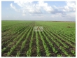 Fazenda com 6500 hectares, bruta, com 5000 hectare