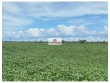 Fazenda com 7460 hectares, com área aberta útil d
