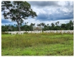 Fazenda com 5.800 hectares, dupla aptidão