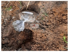 Fazenda na região de Caxias-MA, com 2.853 hectaares, com 1.600 hectares agricultáveis, sendo 700 hectares para pecuária