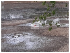 Fazenda com 1000 hectares, terra bruta, dupla aptidão
