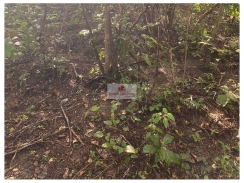 Fazenda na regial de Cocal-PI, com 235 hectares, dupla aptidão, plana, acima de 19% de argila