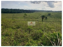 Fazenda na região de Altamira-PA, com 3.580 hectares, dupla aptidão