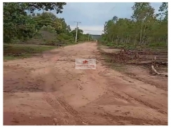 Fazenda na região de Monsenhor Gil, com 1.235 hectares, dupla aptidão